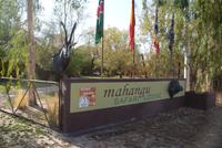 Mahangu Safari Lodge (3)
