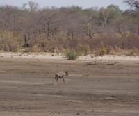 Bwabwata NP Schutzzone