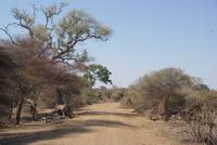 Bwabwata NP Schutzzone (5)