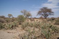 Bwabwata NP Schutzzone (6)