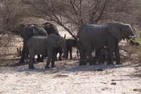 Bwabwata NP Schutzzone (7)