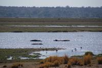 Bwabwata NP Schutzzone (10)