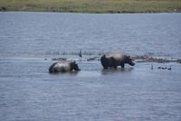 Bwabwata NP Schutzzone (12)