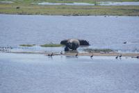 Bwabwata NP Schutzzone (14)