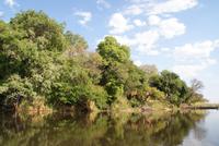 Bootsfahrt auf dem Kwando (3)