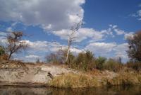 Bootsfahrt auf dem Kwando (4)