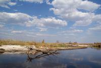 Bootsfahrt auf dem Kwando (5)