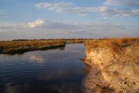 Bootsfahrt auf dem Kwando (21)