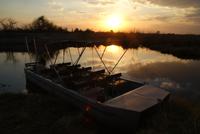 Bootsfahrt auf dem Kwando (22)