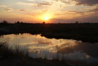 Bootsfahrt auf dem Kwando (23)