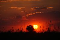 Bootsfahrt auf dem Kwando (24)