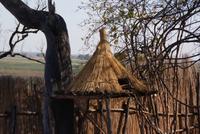 Hühnerstall mit Leiter