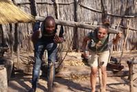 Wenn mal kein Rind greifbar ist....