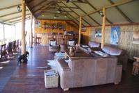 Chobe River Camp (8)