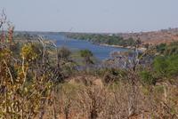 Safari im Chobe Nationalpark (2)