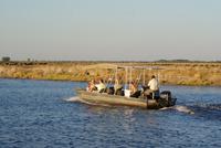 Chobe River Safari (45)