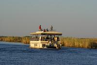 Chobe River Safari (46)