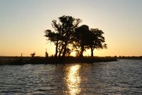 Chobe River Safari (47)