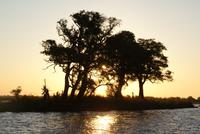 Chobe River Safari (48)