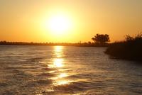 Chobe River Safari (49)