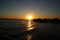 Chobe River Safari (50)