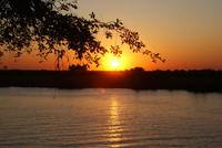 Chobe River Safari (51)