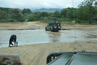 Manyara Süd Furten mit dem Landcruiser
