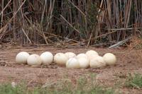 185IMG_1 (258)