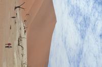 Dead Vlei (1)