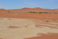 Dead Vlei (5)