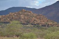 Erongo Gebirge (2)