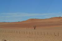 Fahrt durch die Namib (4)