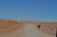 Fahrt durch die Namib (5)
