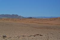 Fahrt durch die Namib (6)