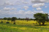 Fahrt nach Okahandja (4)