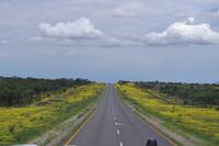 Fahrt nach Okahandja (7)