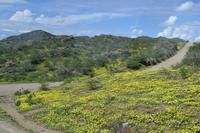 Fahrt nach Okahandja (9)