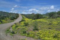 Fahrt nach Okahandja (10)