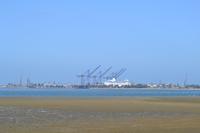 Flamingos Walvis Bay (3)
