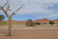 Sossusvlei (3)