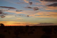Sundowner in der Kalahari (1)