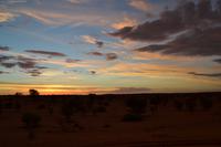 Sundowner in der Kalahari (5)