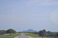 Tiere im Etosha Nationalpark (8)