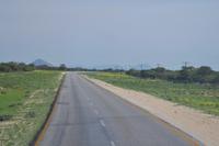 Tiere im Etosha Nationalpark (9)
