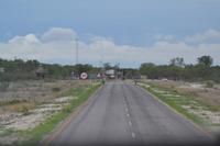 Tiere im Etosha Nationalpark (17)