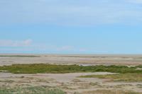 Tiere im Etosha Nationalpark (62)