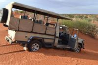 Tiere und Natur der Kalahari (8)