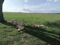 IMG 20211026 162449 1