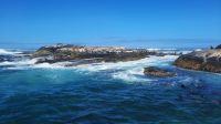 Rundreise Südafrika - Robbeninsel bei Hout Bay