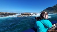 Rundreise Südafrika - Robbeninsel bei Hout Bay